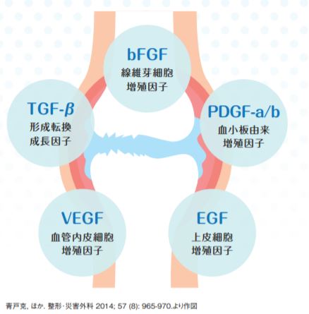 診療方針